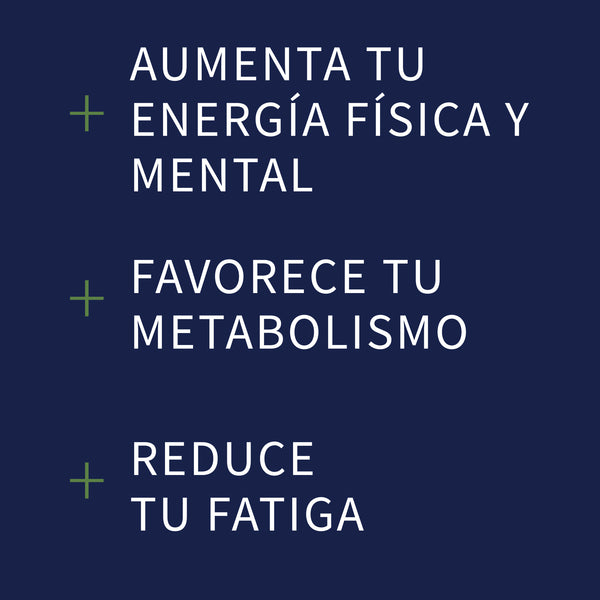 Mezcla Multivitamínica
